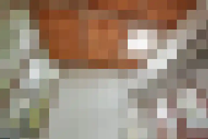 Zeeburgerdijk 561 Amsterdam thumbnail 14