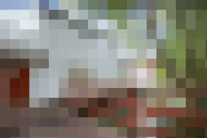 Zeeburgerdijk 561 Amsterdam thumbnail 43