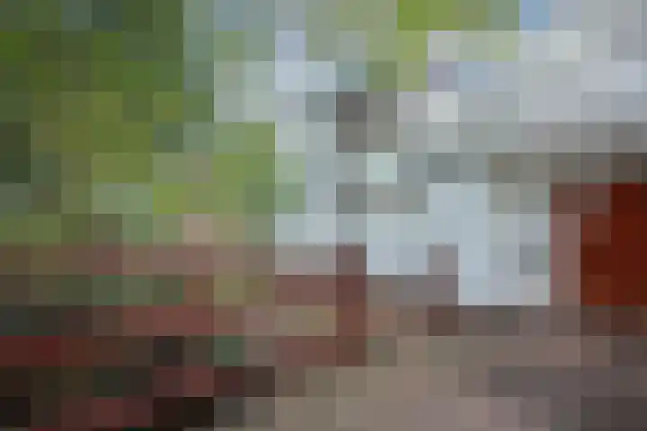 Zeeburgerdijk 561 Amsterdam thumbnail 44