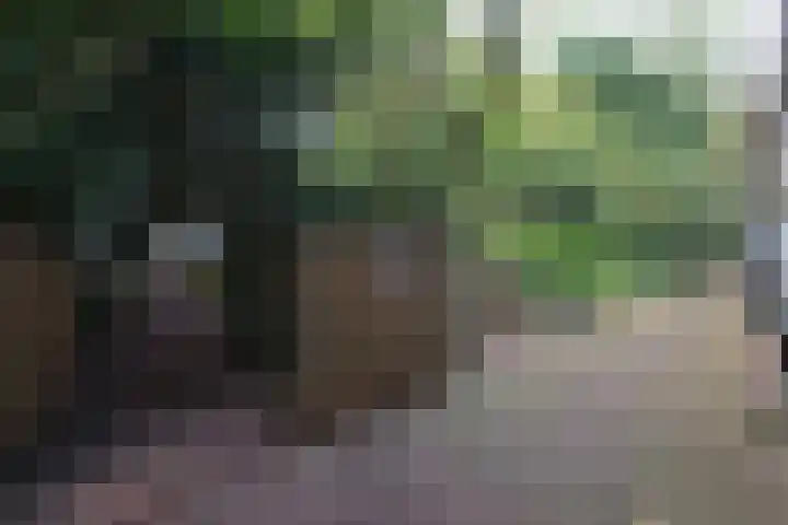 Zeeburgerdijk 561 Amsterdam thumbnail 48
