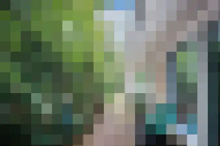 Zeeburgerdijk 561 Amsterdam thumbnail 49