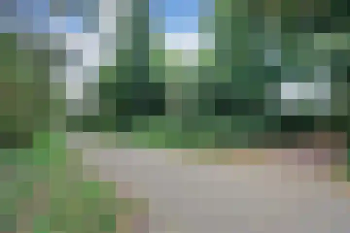 Zeeburgerdijk 561 Amsterdam thumbnail 50