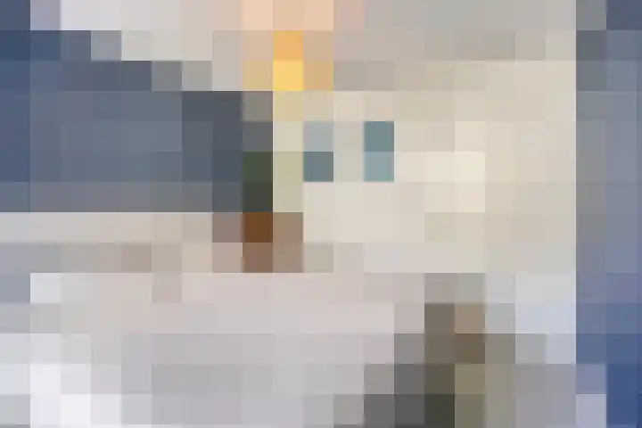 Zeeburgerdijk 592 Amsterdam thumbnail 18
