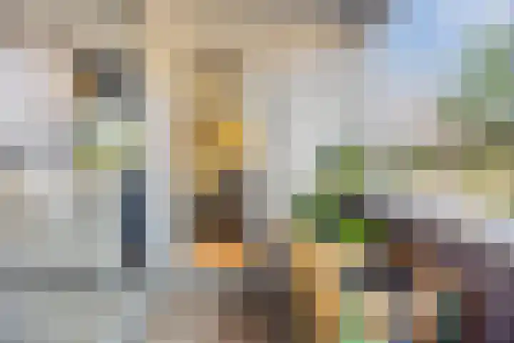 Zeeburgerdijk 592 Amsterdam thumbnail 27