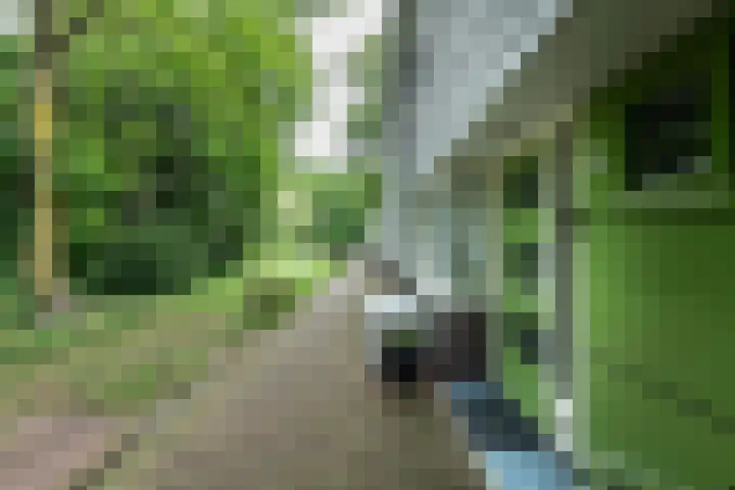 Zeeburgerdijk 619 Amsterdam thumbnail 6