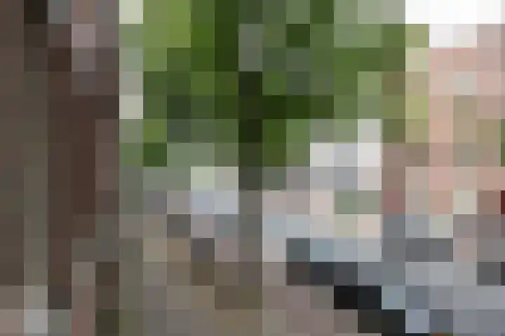 Zeeburgerdijk 74 2 Amsterdam thumbnail 15