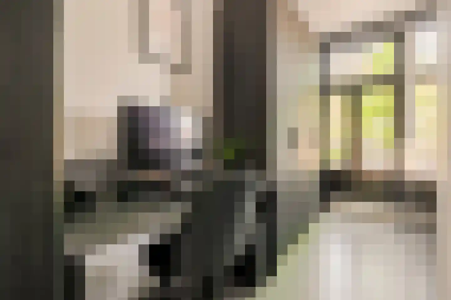 Zeeburgerdijk 74 2 Amsterdam thumbnail 16