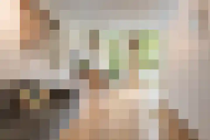 Zeeburgerdijk 74 2 Amsterdam thumbnail 5