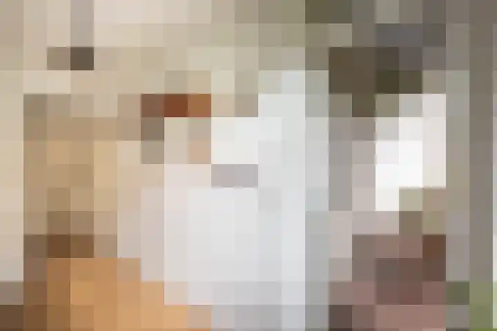 Zeeburgerdijk 74 2 Amsterdam thumbnail 9