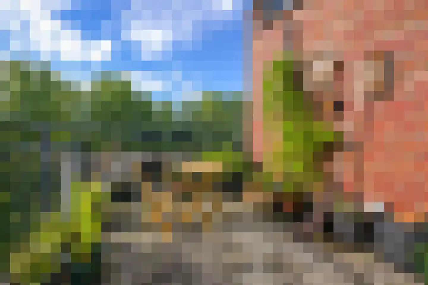 Zeeburgerdijk 780 Amsterdam thumbnail 15