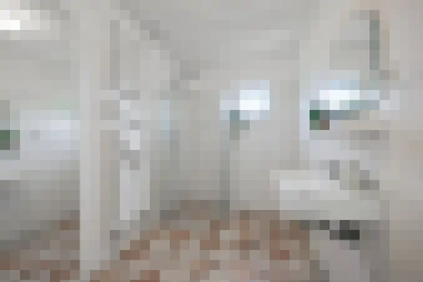 Zeeburgerdijk 780 Amsterdam thumbnail 19