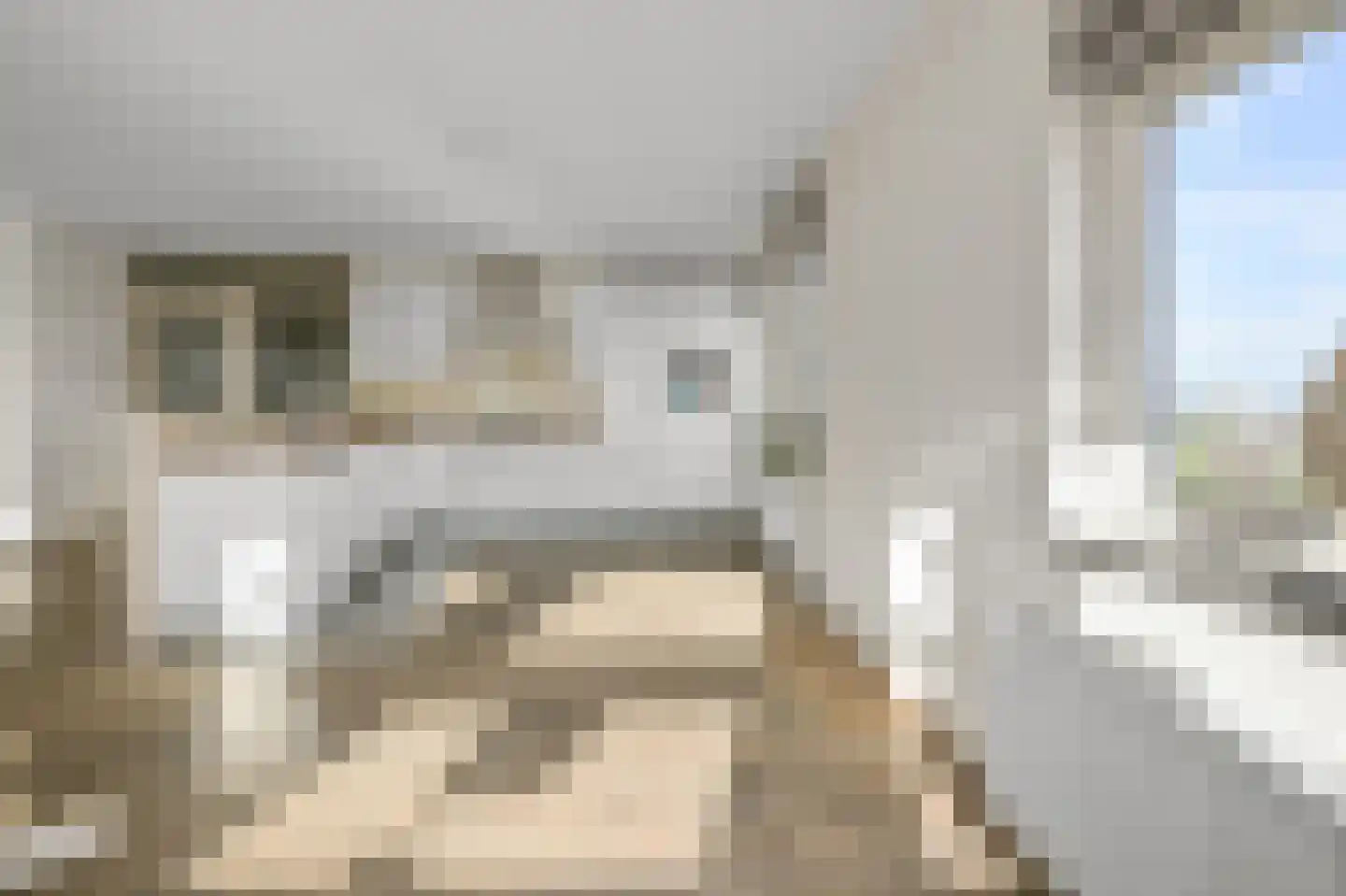 Zeeburgerdijk 780 Amsterdam thumbnail 9