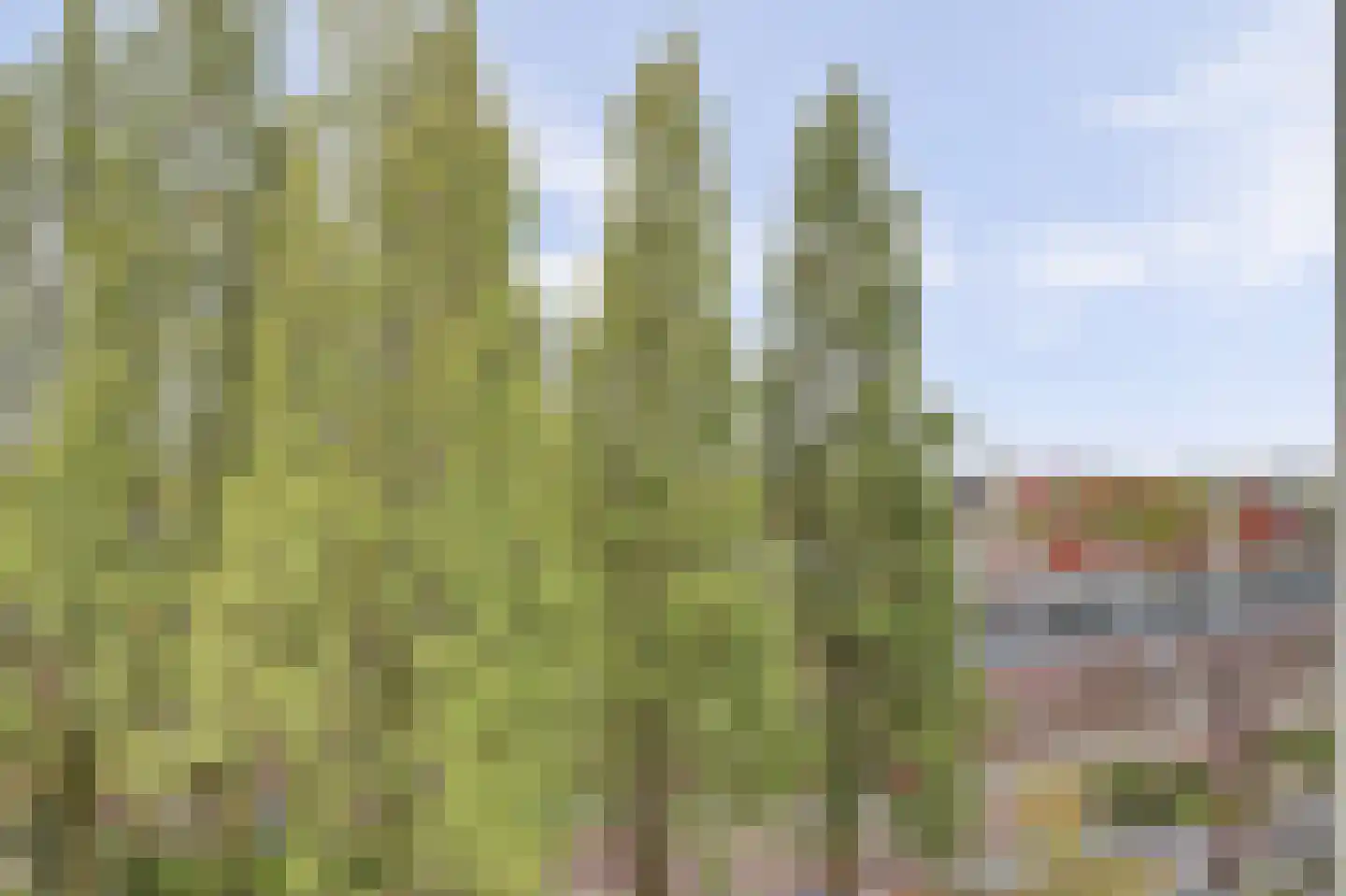 Zeeburgerkade 108 Amsterdam thumbnail 10