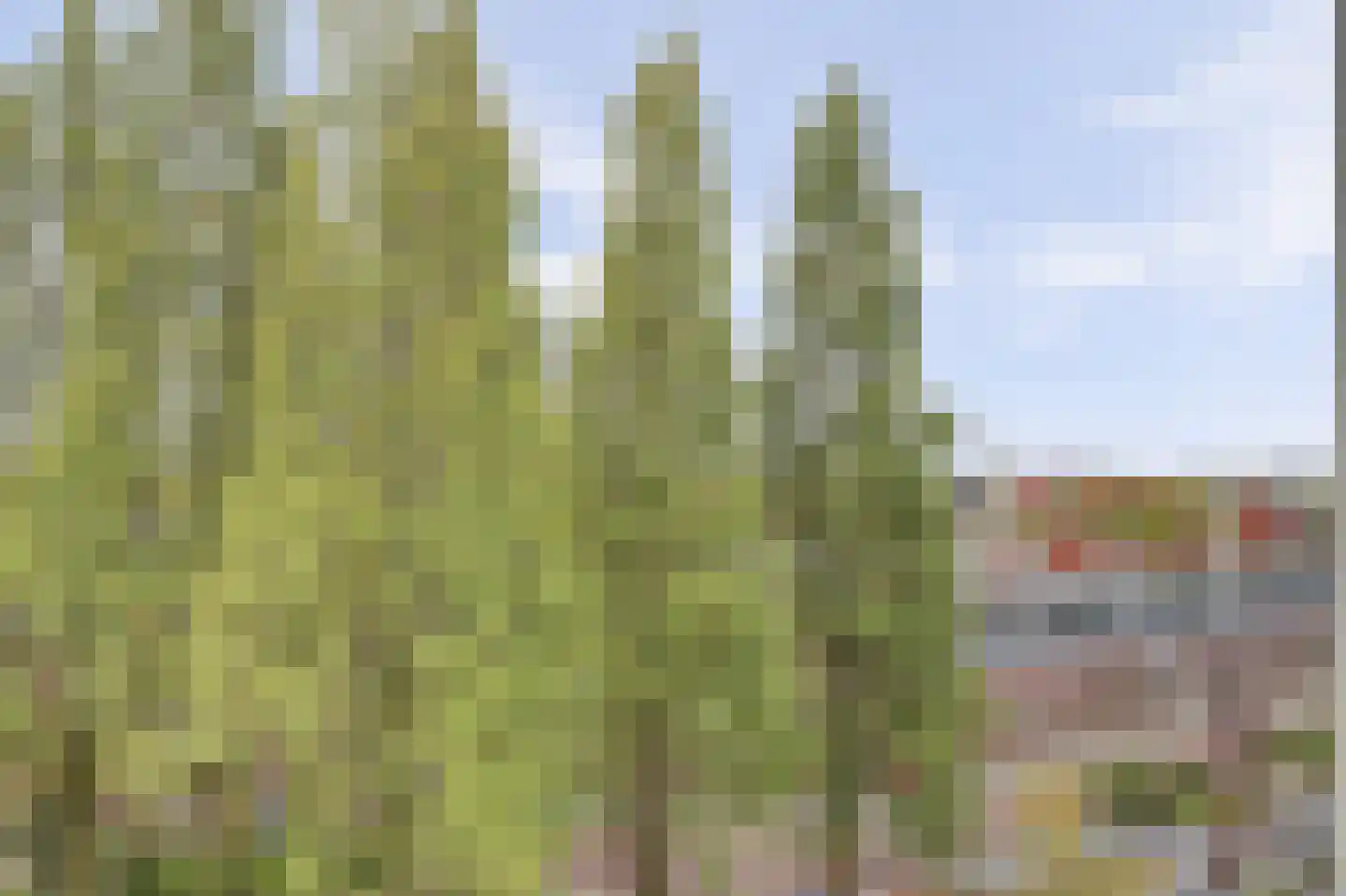 Zeeburgerkade 108 Amsterdam thumbnail 10