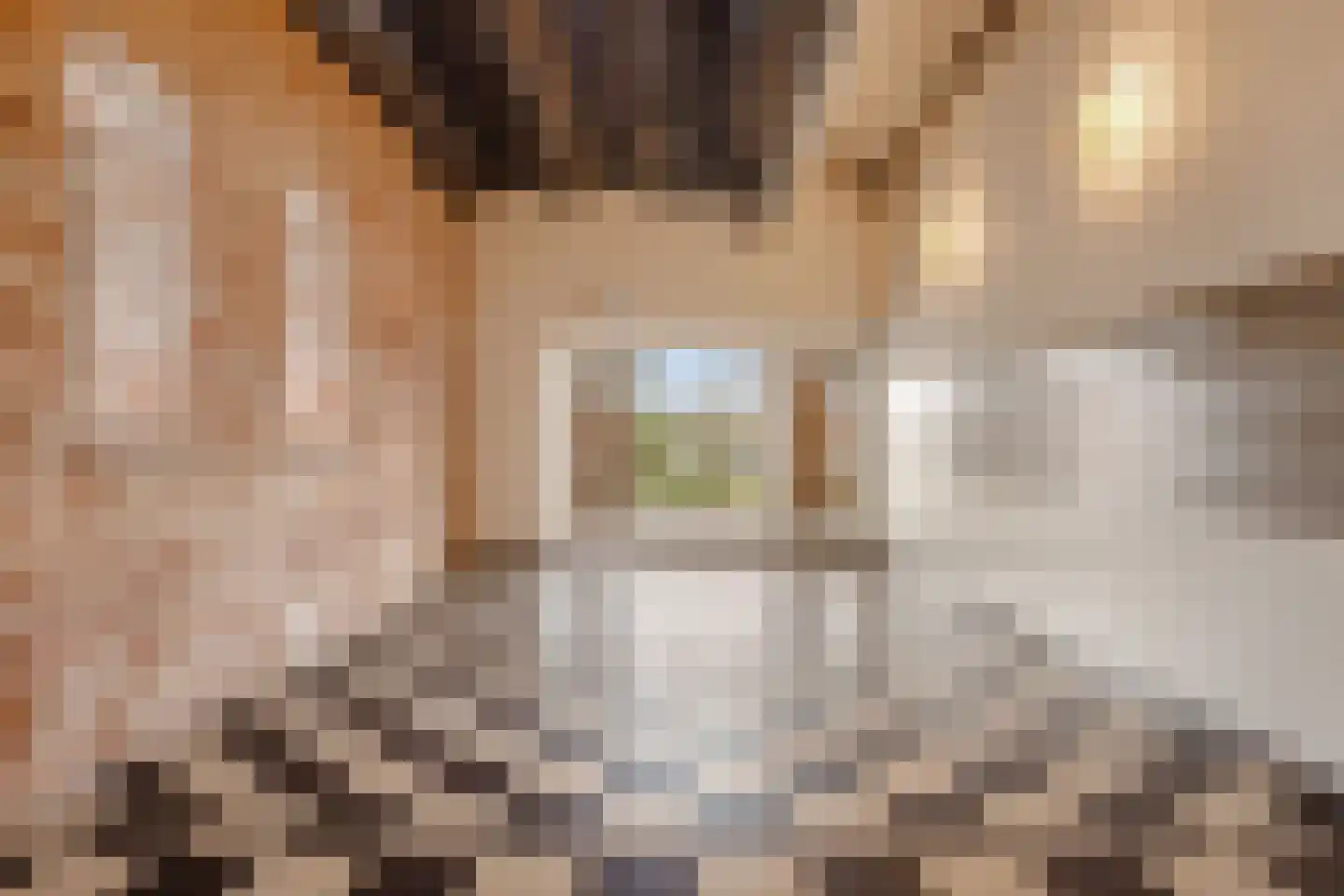 Zeeburgerkade 140 Amsterdam thumbnail 20