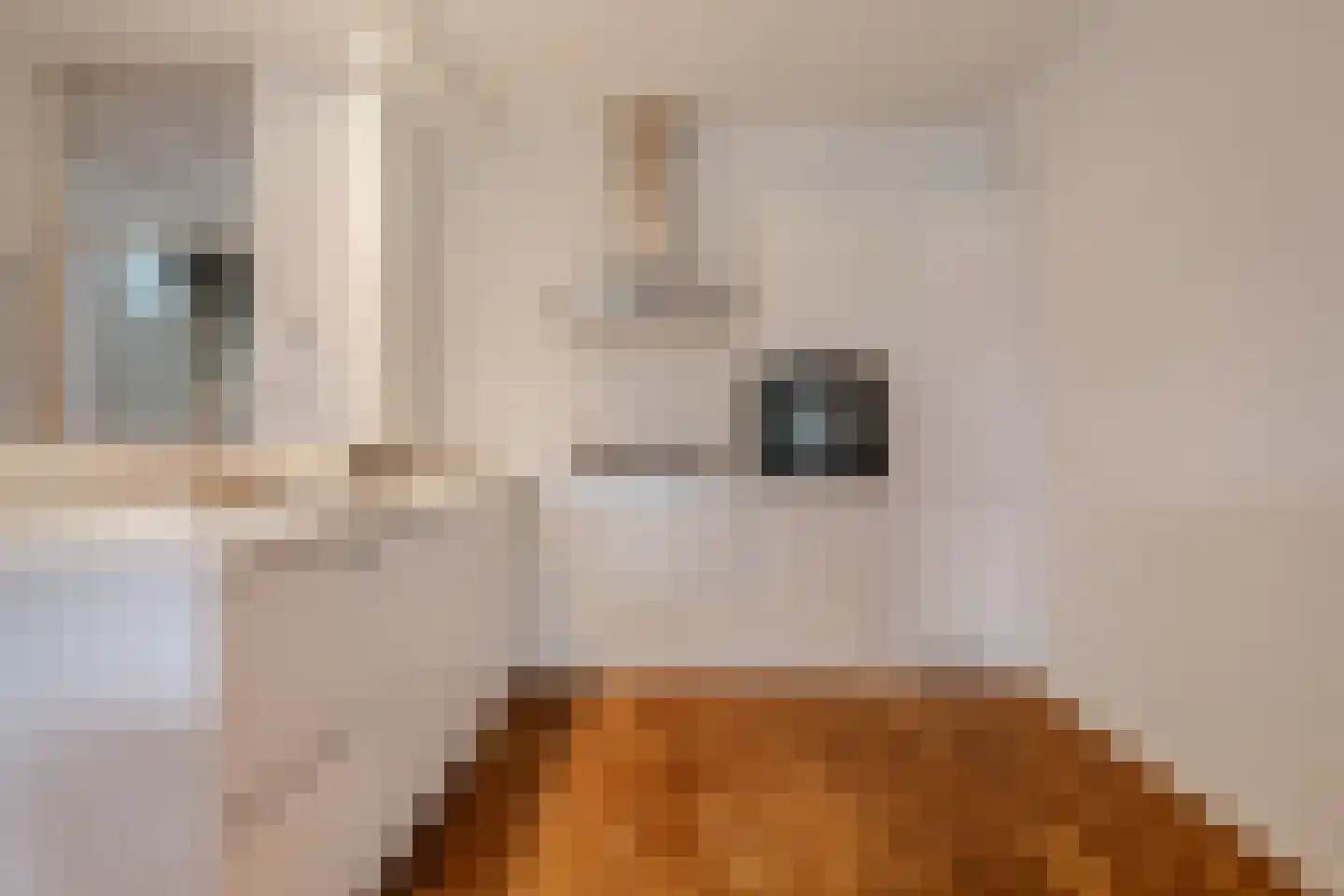 Zeeburgerkade 140 Amsterdam thumbnail 9