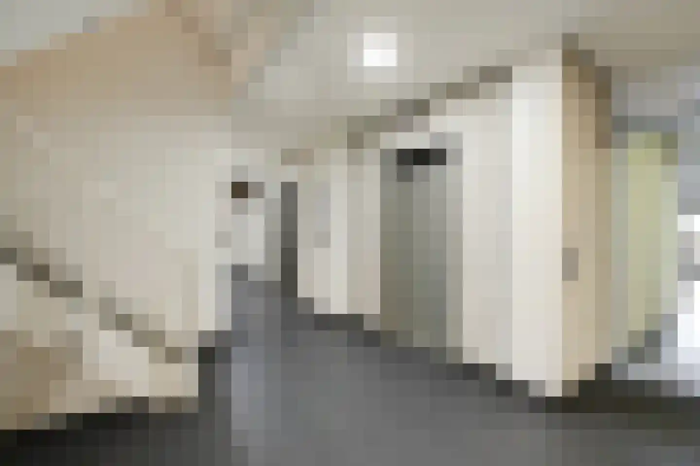 Zeeburgerkade 208 Amsterdam thumbnail 30