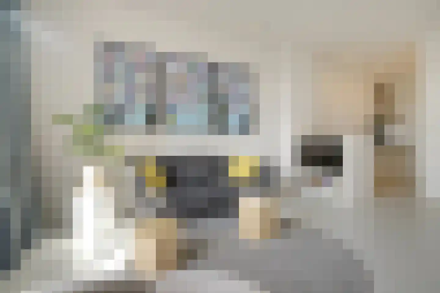 Zeeburgerkade 208 Amsterdam thumbnail 8