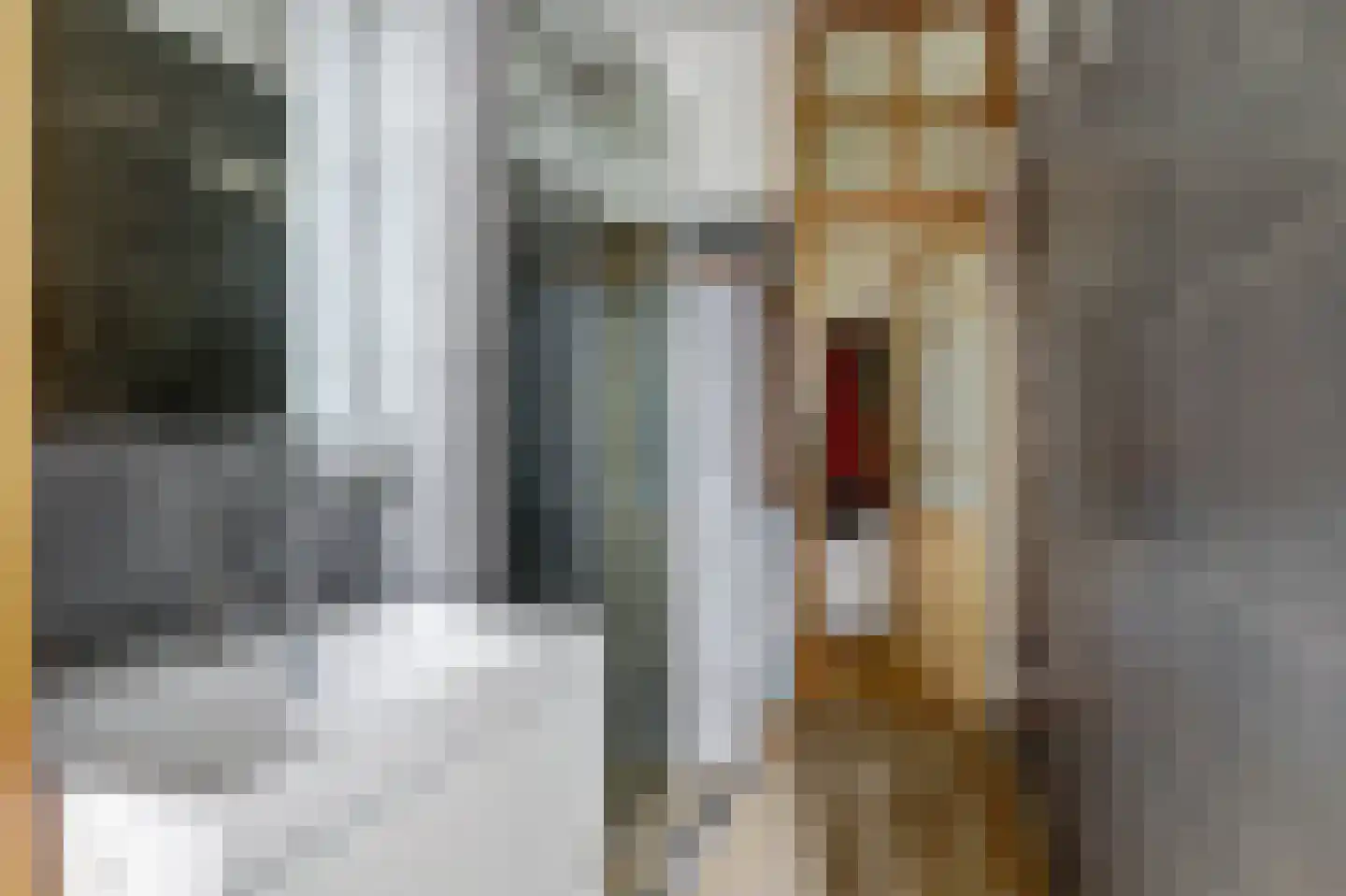 Zeeburgerkade 218 Amsterdam thumbnail 28