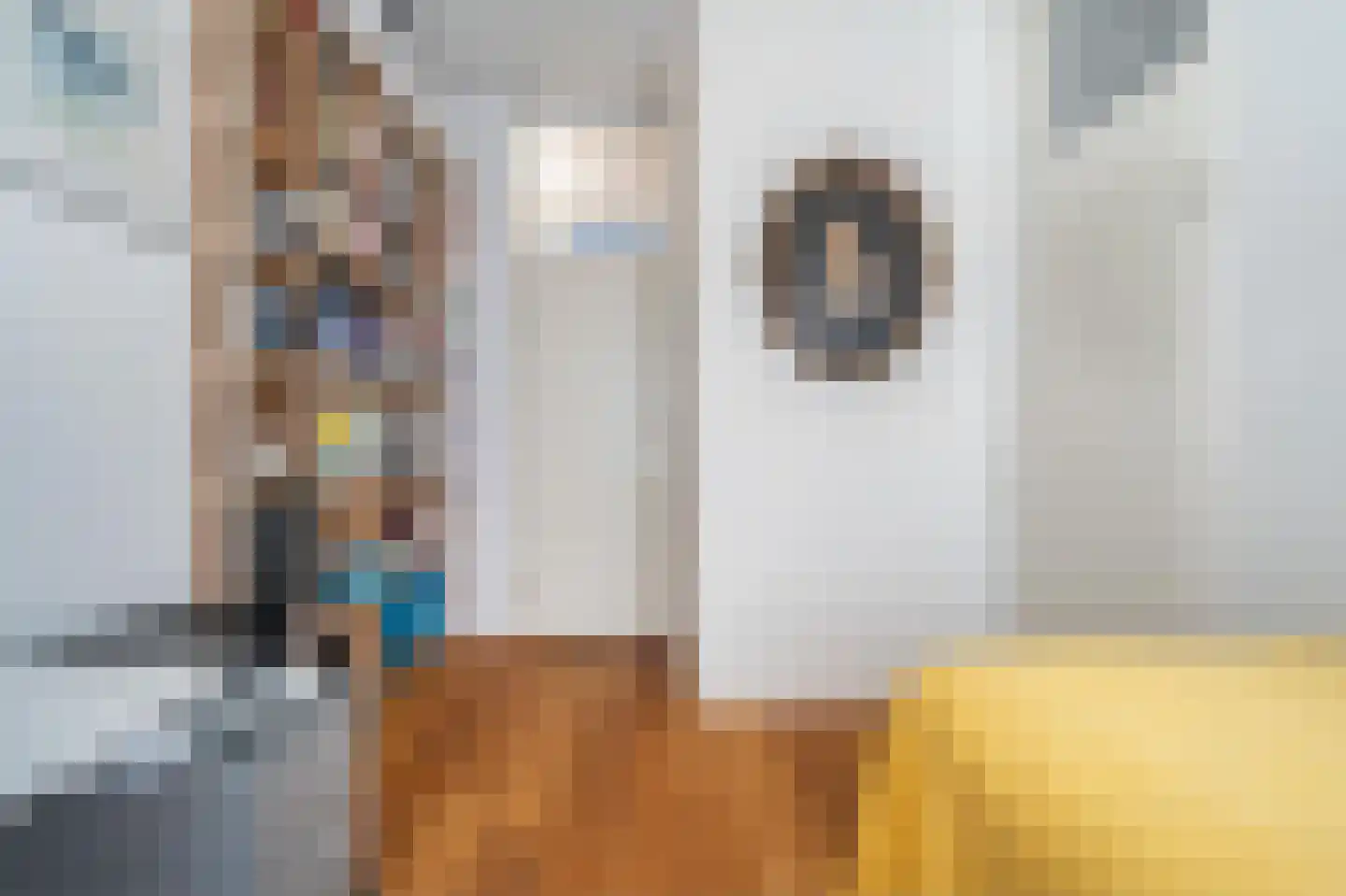Zeeburgerkade 232 Amsterdam thumbnail 13