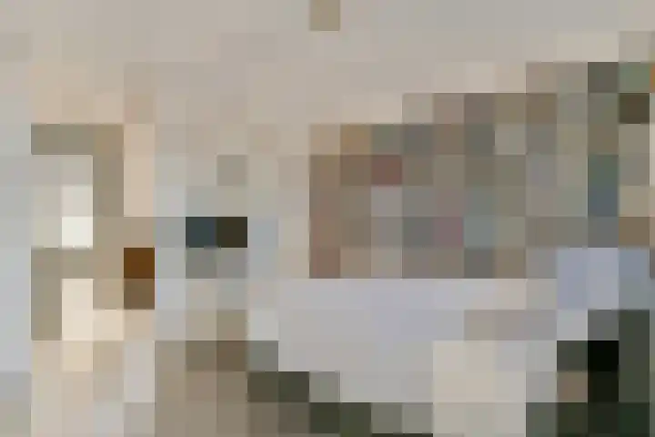 Zeeburgerkade 256 Amsterdam thumbnail 10