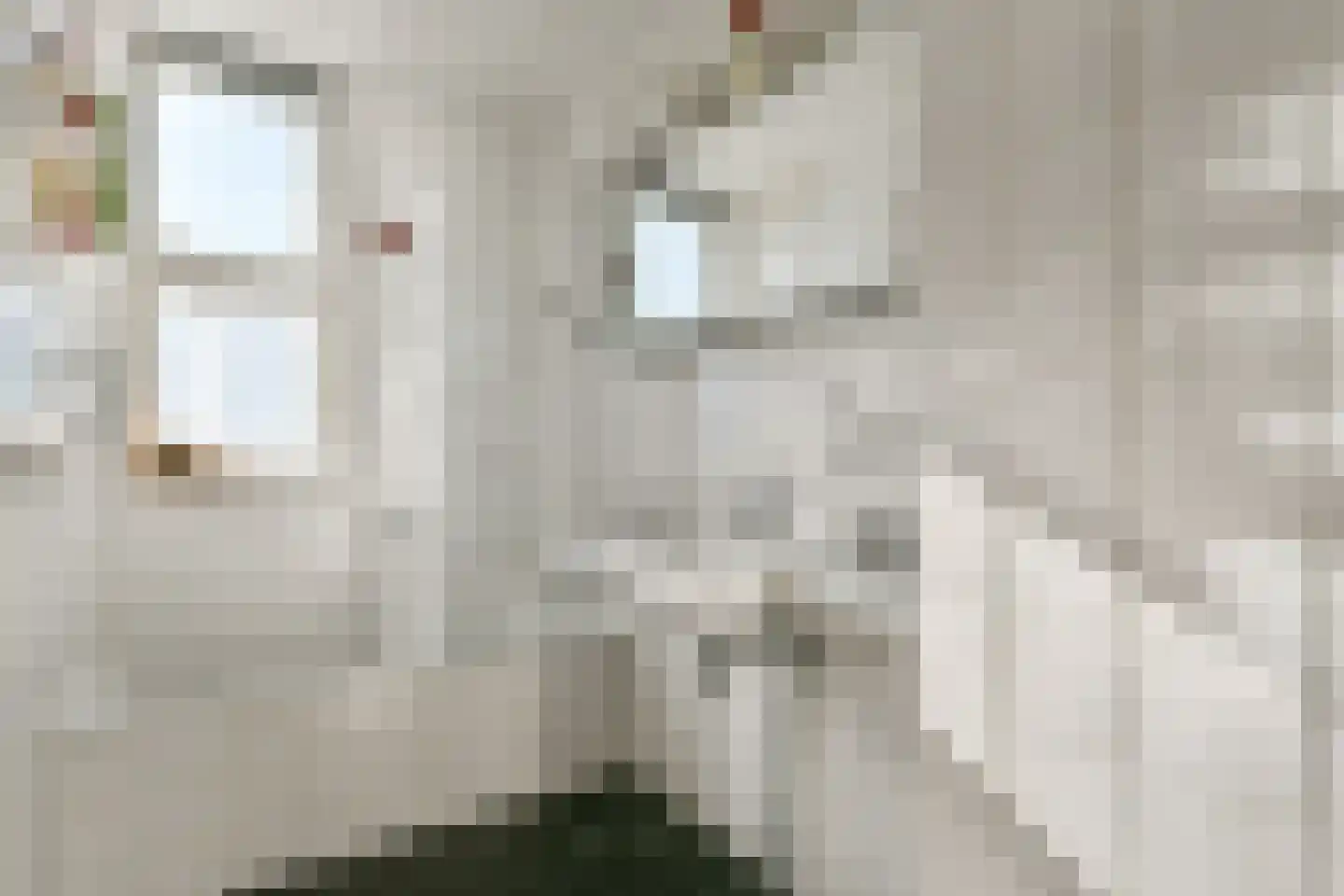 Zeeburgerkade 256 Amsterdam thumbnail 14