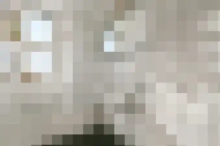 Zeeburgerkade 256 Amsterdam thumbnail 14