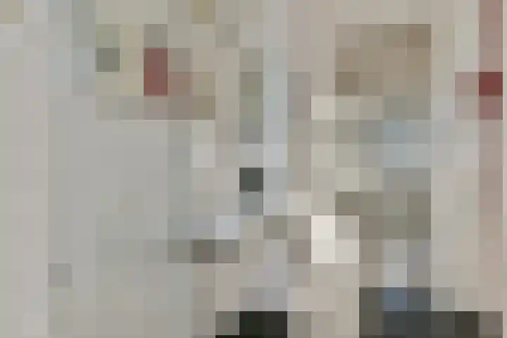 Zeeburgerkade 256 Amsterdam thumbnail 15