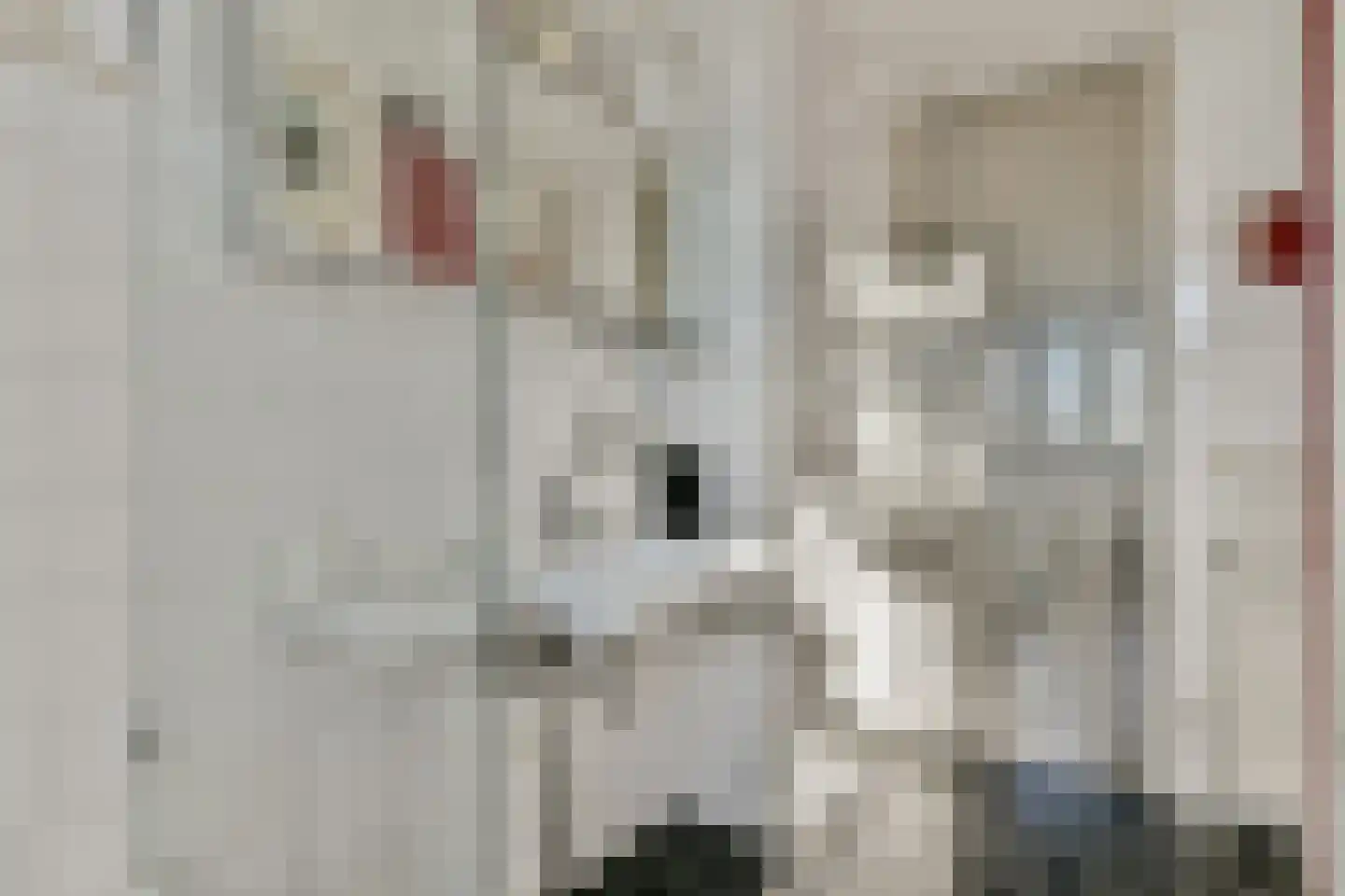 Zeeburgerkade 256 Amsterdam thumbnail 15
