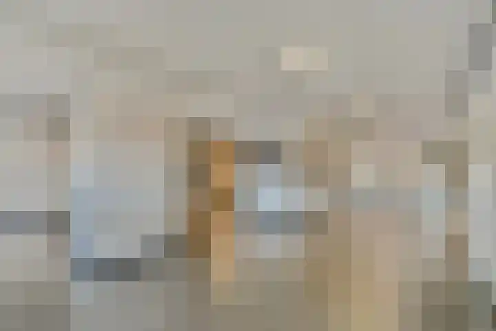 Zeeburgerkade 256 Amsterdam thumbnail 20