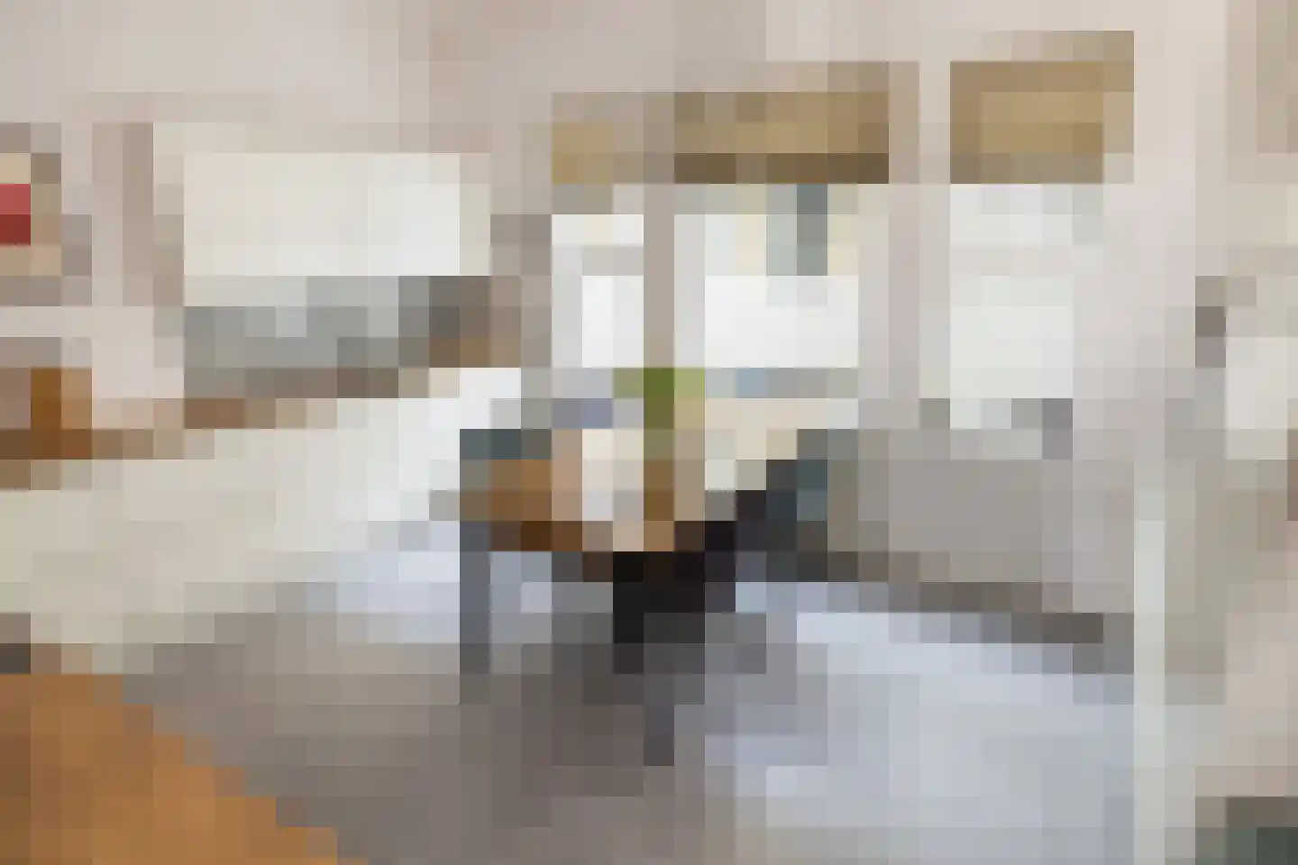 Zeeburgerkade 310 Amsterdam thumbnail 24