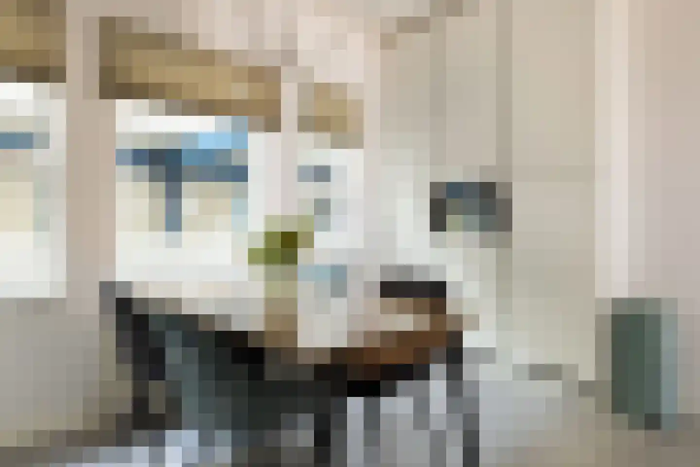 Zeeburgerkade 310 Amsterdam thumbnail 28
