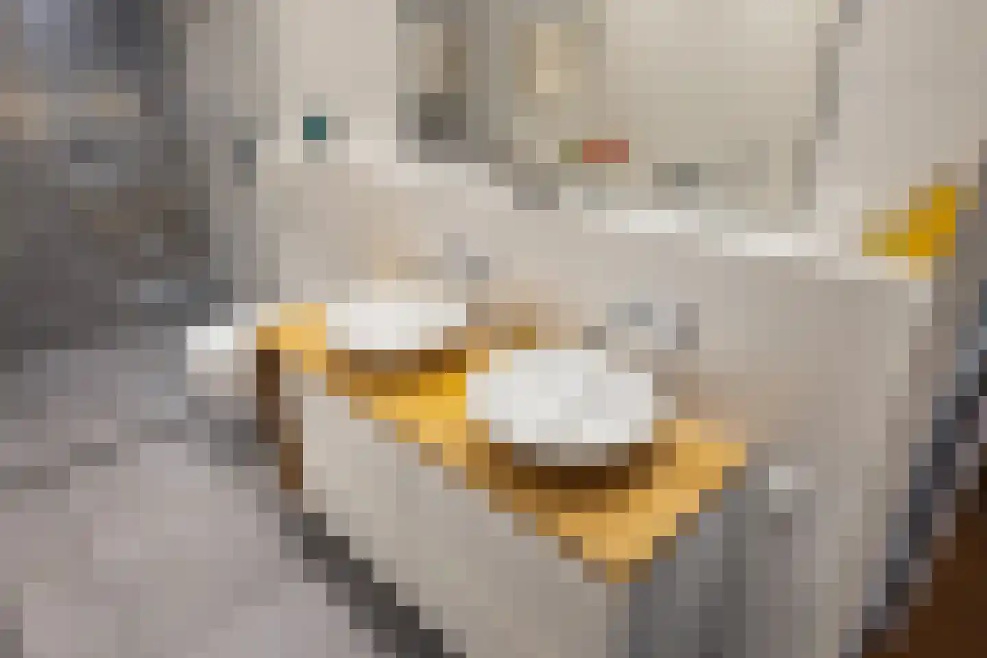 Zeeburgerkade 310 Amsterdam thumbnail 44