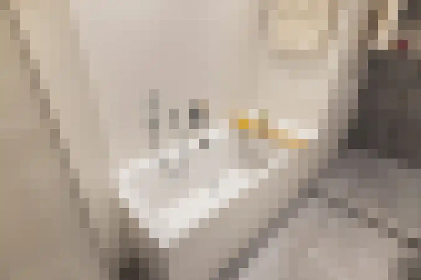 Zeeburgerkade 310 Amsterdam thumbnail 45