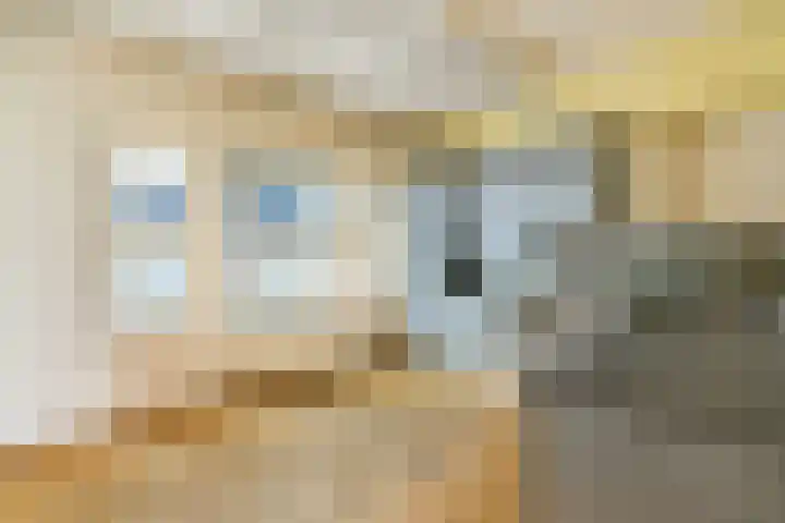 Zeeburgerkade 312 Amsterdam thumbnail 19