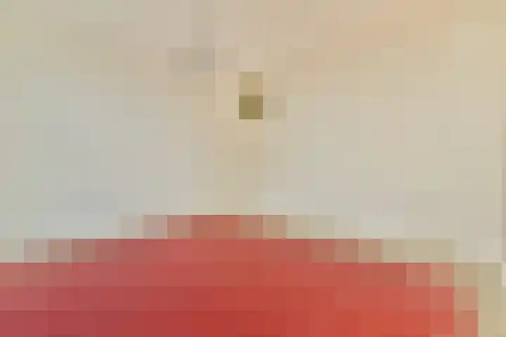 Zeeburgerkade 312 Amsterdam thumbnail 8