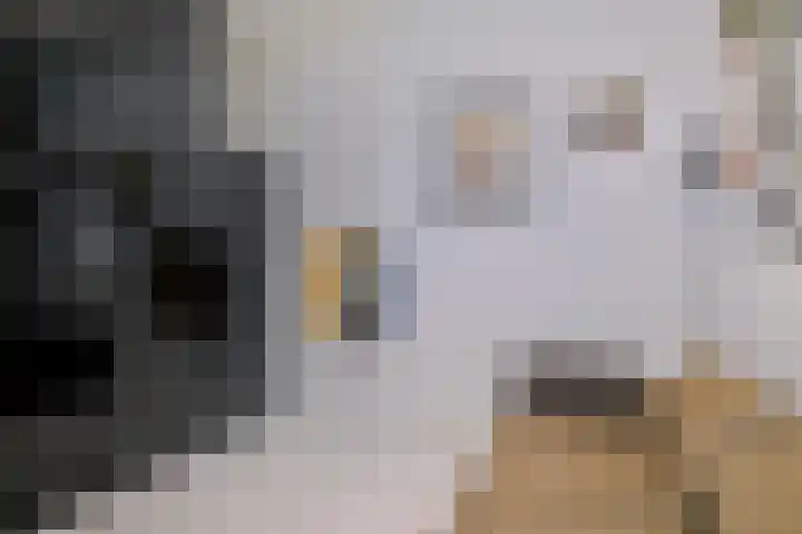 Zeeburgerkade 326 Amsterdam thumbnail 14