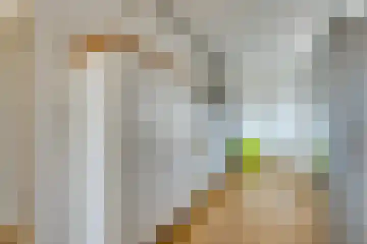 Zeeburgerkade 354 Amsterdam thumbnail 17