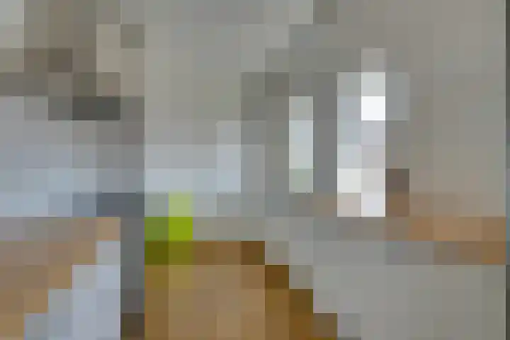 Zeeburgerkade 354 Amsterdam thumbnail 19