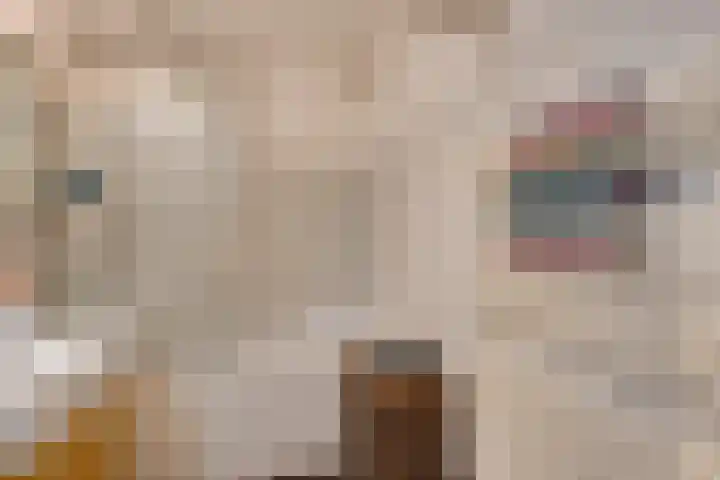 Zeeburgerkade 354 Amsterdam thumbnail 4