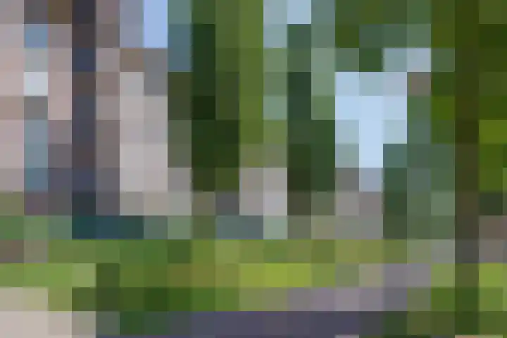 Zeeburgerkade 354 Amsterdam thumbnail 41
