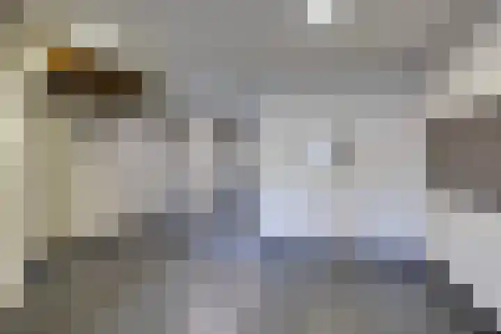 Zeeburgerkade 354 Amsterdam thumbnail 8