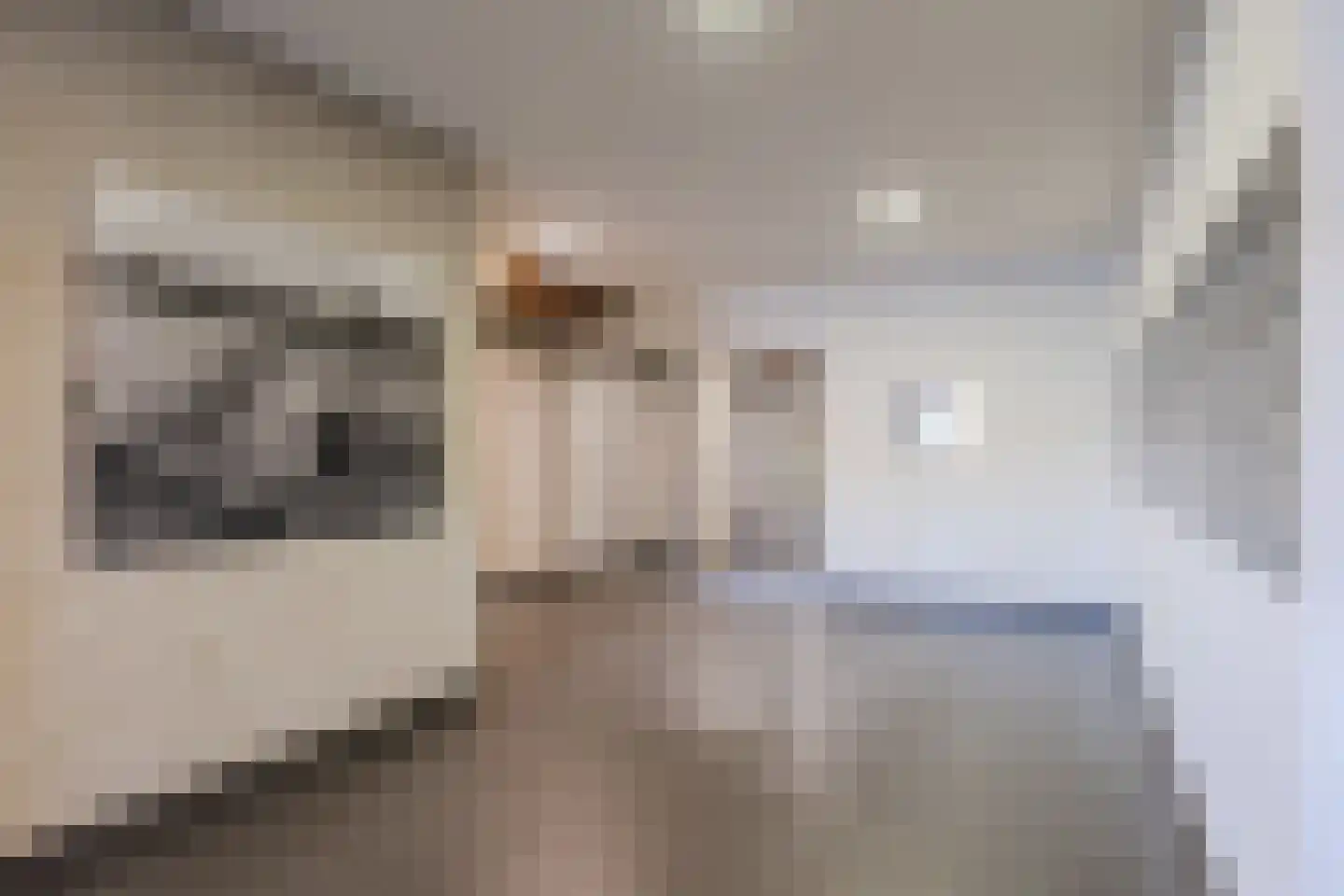 Zeeburgerkade 364 Amsterdam thumbnail 8