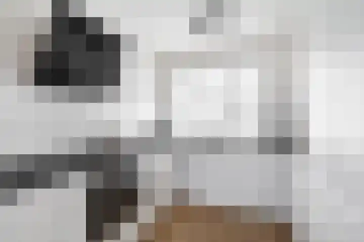 Zeeburgerkade 370 Amsterdam thumbnail 4