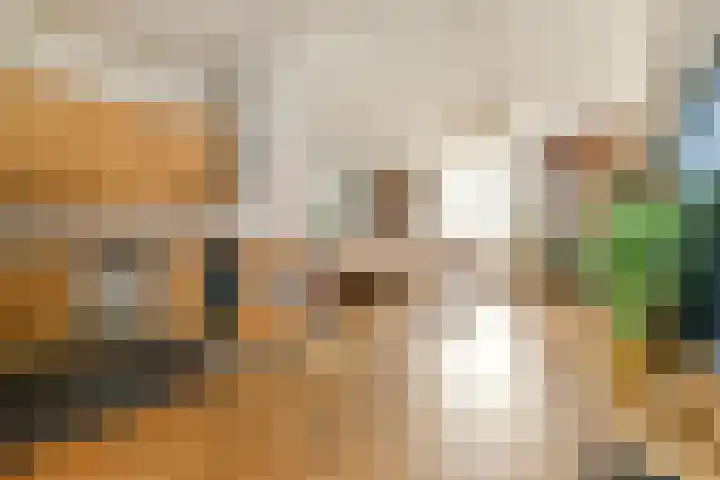 Zeeburgerkade 44 Amsterdam thumbnail 13