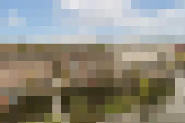 Zeeburgerkade 44 Amsterdam thumbnail 5