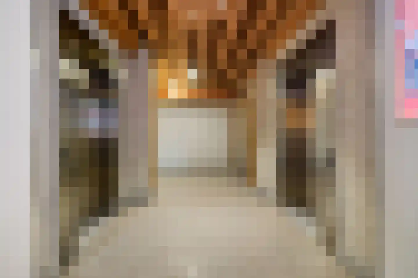 Zeeburgerkade 440 Amsterdam thumbnail 20