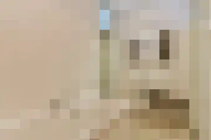 Zeeburgerkade 452 Amsterdam thumbnail 13