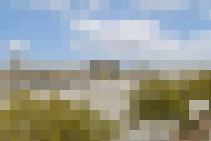 Zeeburgerkade 452 Amsterdam thumbnail 19
