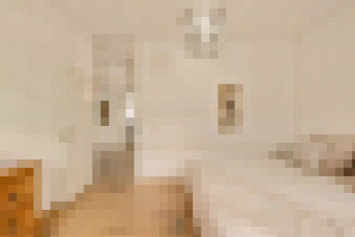 Zeeburgerkade 48 Amsterdam thumbnail 11
